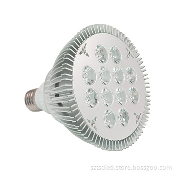 High Lumens 12X1w PAR38 High Power LED Spotlight (TD-XP38W12)
